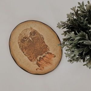 ❤️ Vintage Wood Owl Wall decor